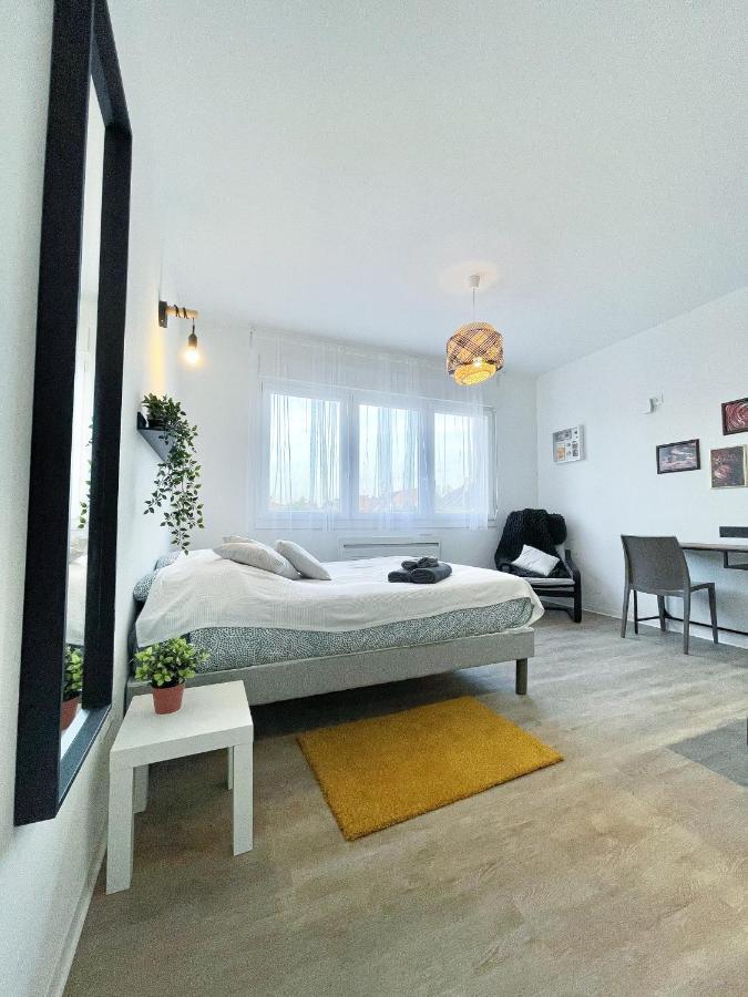 Le Paradis Fiscal, 5Min Bale, Parking Prive Saint-Louis  Exteriör bild